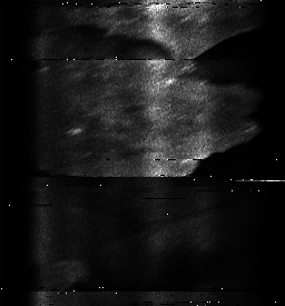 ascat_grayscale_ch2.png